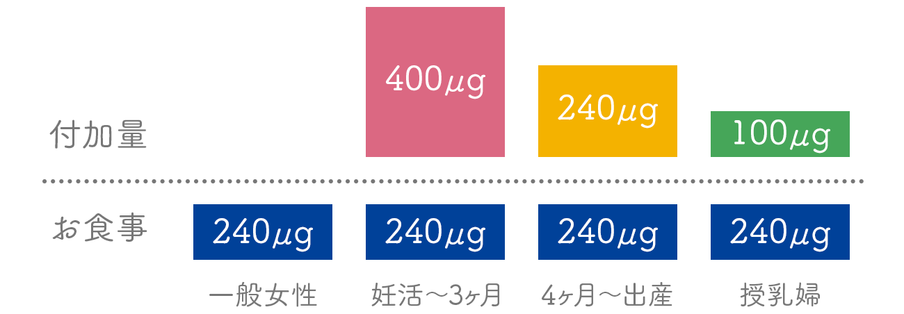 時期別に摂取すべき葉酸の量は変わります
